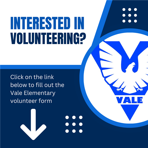 Volunteer Form